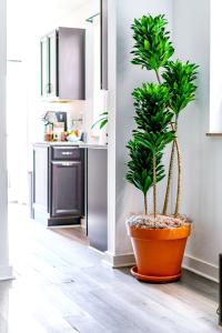 Køkken eller tekøkken på Jungle House Luxury Homes - Columbus Downtown Short North - Steps to Convention Center & Nationwide Arena - Sleeps up to 6 - Free Parking - Over 5,800 Five Stars