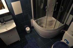 a bathroom with a shower and a toilet and a sink at Cabana Ovidiu in Râu de Mori +38 photos