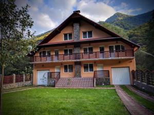 a house with a large yard in front of it at Cabana Ovidiu in Râu de Mori