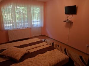 a bedroom with a bed and a tv on the wall at Cabana Ovidiu in Râu de Mori