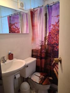 een badkamer met een toilet, een wastafel en een douchegordijn bij Búho Real Cityhouse in El Cerrillo +13 foto's