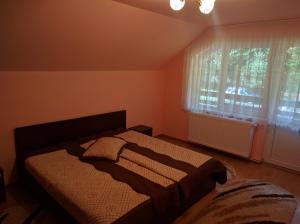 a bedroom with two beds and a window at Cabana Ovidiu in Râu de Mori