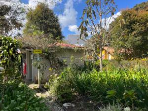 a garden with a house and a yard with plants at Hospedaje Santaelena -chalets de montaña- in Santa Elena