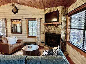 een woonkamer met een bank en een open haard bij Stargazer Cabin - Skydeck, Fire Pit, Wood Fireplace in Blue Ridge
