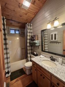 een badkamer met een wastafel, een toilet en een spiegel bij Stargazer Cabin - Skydeck, Fire Pit, Wood Fireplace in Blue Ridge