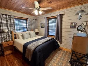 een slaapkamer met een bed en een plafondventilator bij Stargazer Cabin - Skydeck, Fire Pit, Wood Fireplace in Blue Ridge