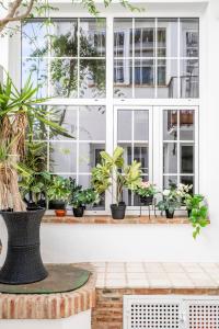 En have udenfor Apartamentos Castillo Quince