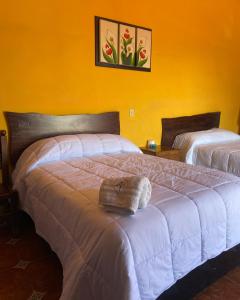 een slaapkamer met 2 bedden en een gele muur bij Plaza Real Hotel Boutique in Coscomatepec de Bravo