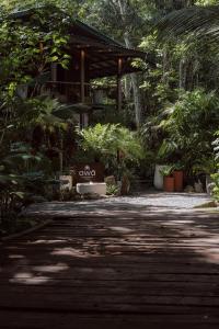 a walkway in front of a house with plants at awā Beachfront Hotel in Puerto Viejo +107 photos