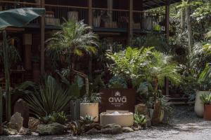 a bunch of plants in front of a building at awā Beachfront Hotel in Puerto Viejo