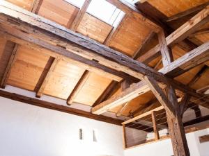 aamed ceilings in a house with wooden beams at Apartment Studio by Interhome in Schernfeld