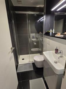 een badkamer met een douche, een toilet en een wastafel bij Loft Apartment Horrem in Kerpen