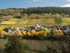 a village in the middle of a river with a vineyard at Apartment Haus Budinger by Interhome in Alf