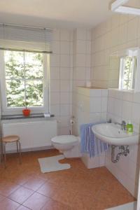 a bathroom with a toilet and a sink at Apartment Saydaer Höhe by Interhome in Sayda