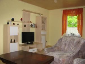 a living room with a couch and a television at Apartment mit Terrasse by Interhome in Sayda