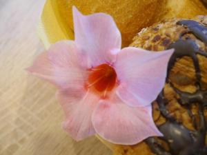 a pink flower sitting on top of a donut at Apartment FeWo Siebert by Interhome in Bad Brambach +21 photos