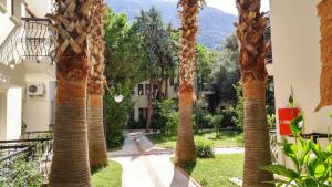 a row of palm trees in a courtyard at Sundia By Liberty Oludeniz in Oludeniz