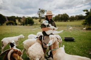 Động vật gần/tại nhà nghỉ dưỡng