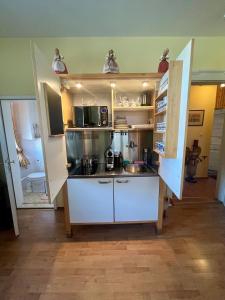 een kleine keuken met een spoelbak en een magnetron bij Villa Marktresidenz - Ihre Ferienwohnungen im Herzen von Berchtesgaden in Berchtesgaden