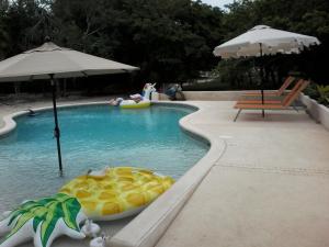 a swimming pool with an inflatable turtle in the water at Serenity Sands in Corozal