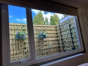a window with two potted plants on a brick wall at Next Door in Punta Arenas