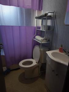 een paarse badkamer met een toilet en een wastafel bij Lago Chelenko in Chile Chico