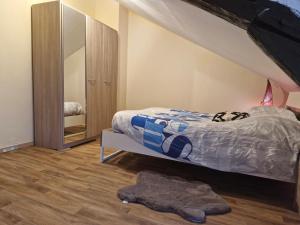 a bedroom with a bed and a mirror at Carthage in Vierzon