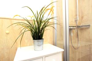 a plant sitting on top of a white cabinet in a bathroom at Haus Clara in Hörnum +23 photos