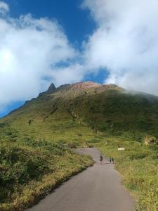 Phong cảnh thiên nhiên gần căn hộ