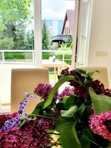 Zahrada ubytování Kleiner Seezauber Bad Kleinen - ABC555