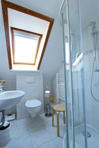 a bathroom with a shower and a toilet and a window at Lachmöwe in Hörnum