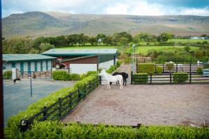 Altri animali domestici presso il bed & breakfast o nei dintorni