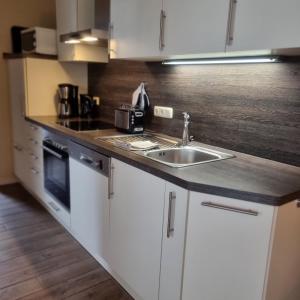 Kuchyň nebo kuchyňský kout v ubytování Ferienglück am See - ABC288 - nur Feriengäste! + 14 fotografií