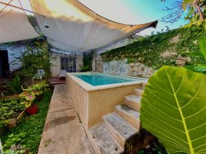 a swimming pool in a garden with some plants at Casa X'Lapac in Valladolid