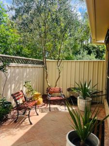 een patio met 2 stoelen en een boom bij Ettalong Beach in Ettalong Beach