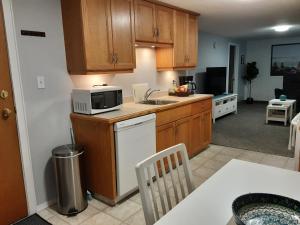 een keuken met een spoelbak en een magnetron bij Apartment In Saskatoon in Saskatoon