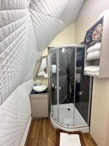 ein Badezimmer mit Dusche und Waschbecken in der Unterkunft La cabaña de Ciela G glamping con jacuzzi y croquet in Latacunga + 14 Fotos