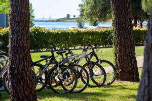 Jízda na kole v ubytování Hotel Aurora Plava Laguna nebo okolí