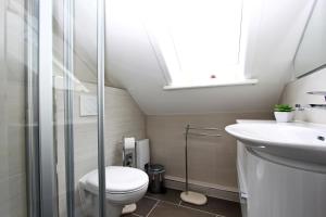 ein Badezimmer mit Toilette und Waschbecken und einem Oberlicht in der Unterkunft Syltrose in Hörnum + 4 Fotos