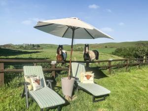 two chairs and an umbrella and two horses in a field at Harperfield Chalet in Lanark