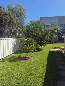 a small tree in a yard next to a fence at Frangipani Studio PET FRIENDLY!!! in Ulladulla