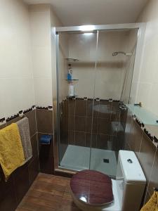 un bagno con doccia in vetro e WC di ROMANTIc PLAYA CENTRO - Garaje gratuito ad Altea