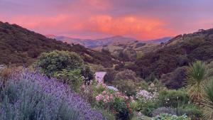 a field of flowers with a sunset in the mountains at Delightful Dolphin 'Lodge' in Akaroa +5 photos