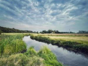 un ruisseau au milieu d'un champ dans l'établissement Alluring Apartment in Bergen with Terrace, Garden and BBQ, à Bergen