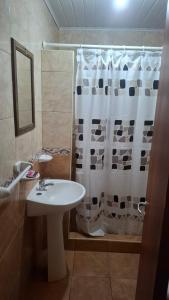 La salle de bains est pourvue d'un lavabo et d'une douche avec rideau de douche. dans l'établissement Departamento Villa Libertad, à Leandro N. Alem