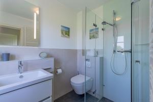a bathroom with a shower and a toilet and a sink at Reetdachhaus Hedehusum in Hedehusum