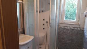 a bathroom with a shower and a toilet and a sink at Apartments Nikola in Pučišća