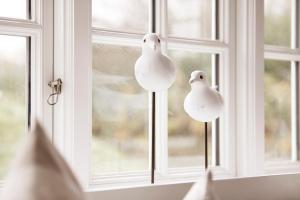 two white birds sitting on a window sill at Deichgraf in Dunsum