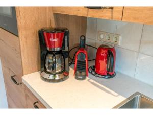 een blender en een broodrooster op een aanrecht bij Lovely Holiday Home in Texel near Sea in Oost