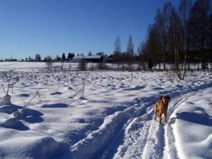 Torpgården Önnerudsvägen 56 v zimě